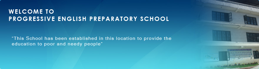 Progressive English Preparatory School